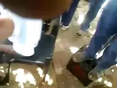 Али котка и Вероника злато се грижи за на Драган петел (1)
