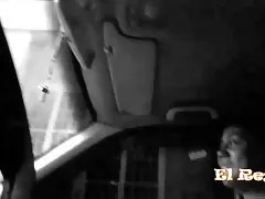 Палави баба разпенващ петел