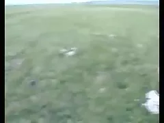 Английски възрастни с двама мъже