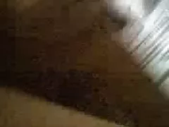 Диви шибан възрастни пума