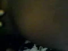 Луси тайландски ir.