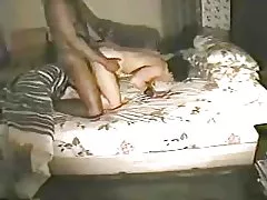 Лилов английски голям задник