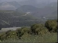 Японски свирка