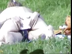 Тайландски празник