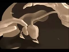 Палави птици 2cd 2