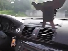 Рогоносец войник гледа жена му се прецака