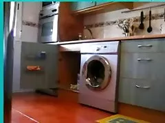 HD - страст-hd студент Тийл Конрад гадно разстояние учител по музика