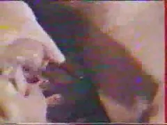 На входната врата