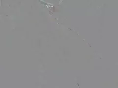 Ейми Фишър