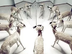 Кльощава азиатски тийнейджъри душ дяволите